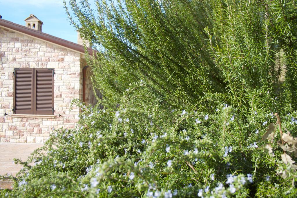 B&B Lavanda E Rosmarino Assisi Exterior photo