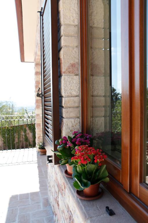 B&B Lavanda E Rosmarino Assisi Exterior photo